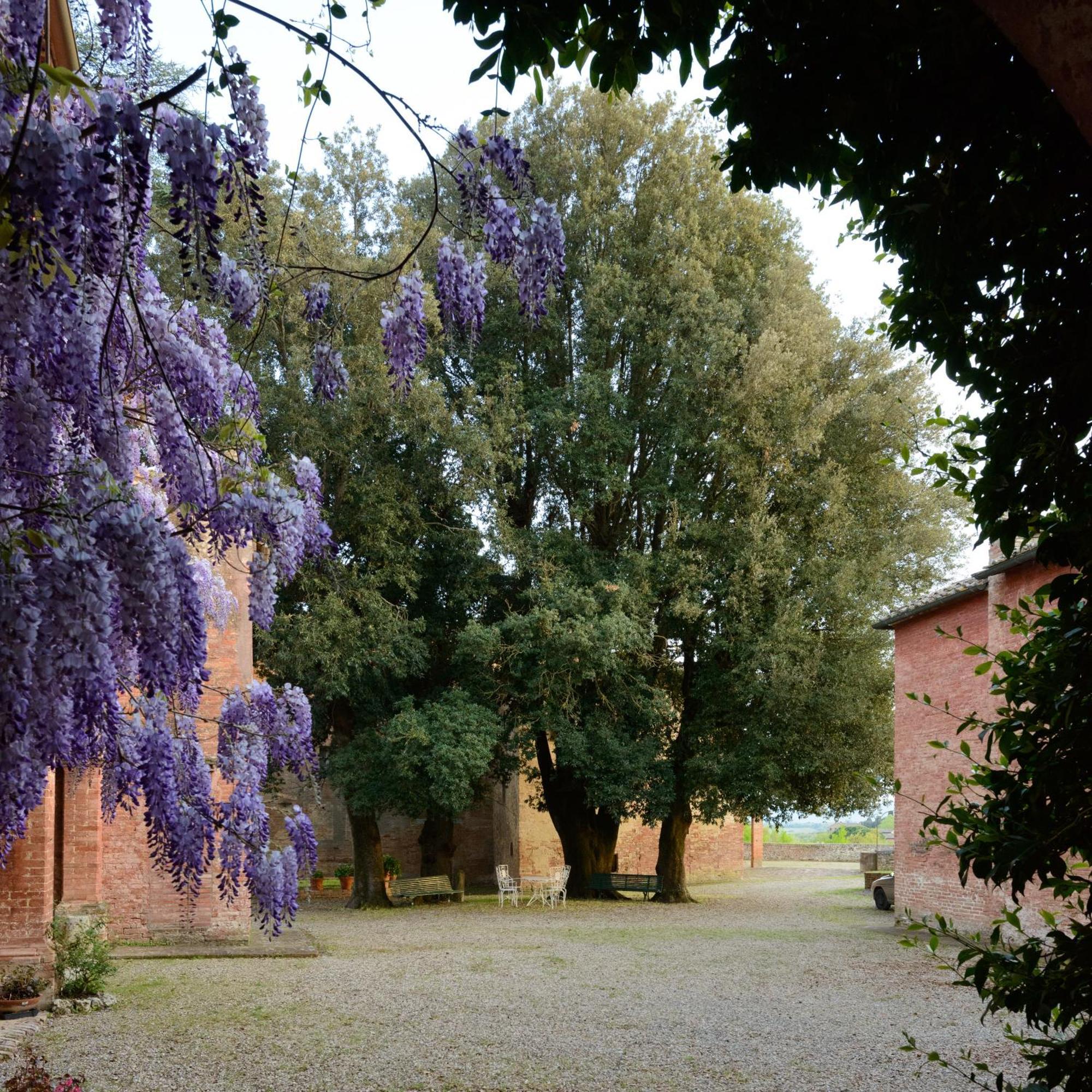 Villa Al Glicine Di Sant'Abondio à Sienne Extérieur photo