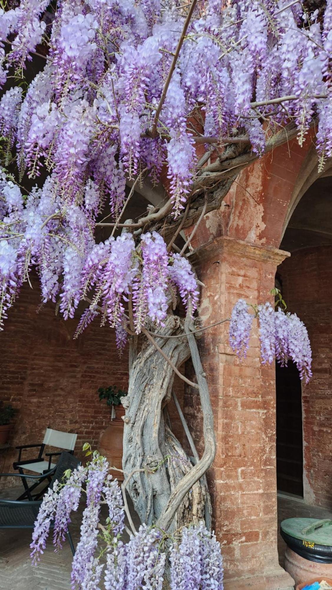 Villa Al Glicine Di Sant'Abondio à Sienne Extérieur photo